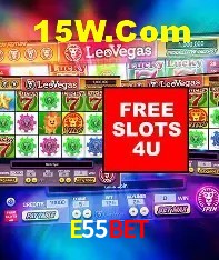 Experimente o Login Seguro Premium no E55Bet